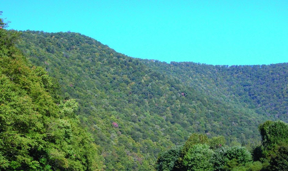 Bucktail State Park Natural Area, Pennsylvania, USA